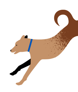 Illustration of a happy dog